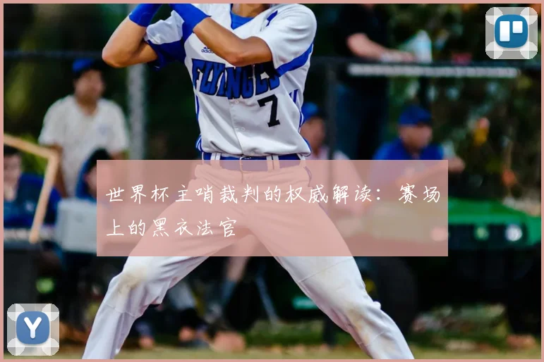 世界杯主哨裁判的权威解读：赛场上的黑衣法官