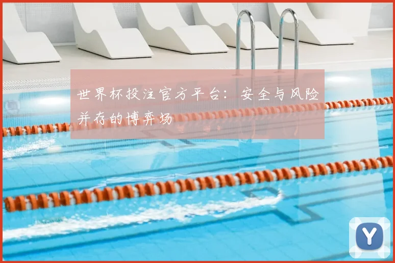 世界杯投注官方平台：安全与风险并存的博弈场