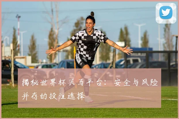 揭秘世界杯买马平台:安全与风险并存的投注选择