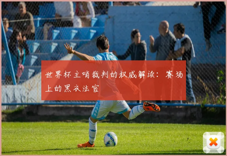 世界杯主哨裁判的权威解读：赛场上的黑衣法官