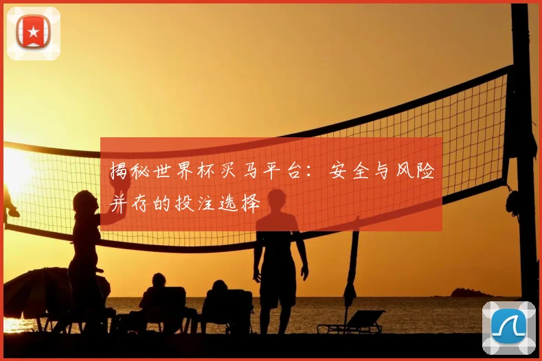 揭秘世界杯买马平台：安全与风险并存的投注选择