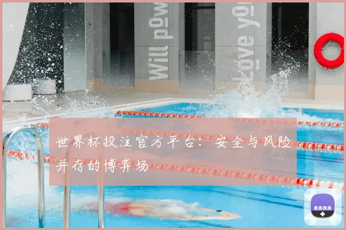 世界杯投注官方平台:安全与风险并存的博弈场
