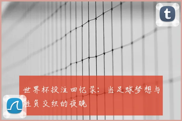 世界杯投注回忆录：当足球梦想与胜负交织的夜晚