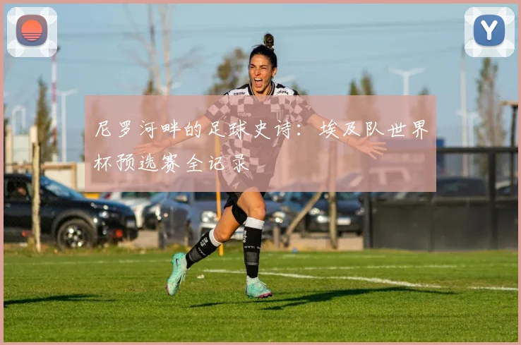 尼罗河畔的足球史诗：埃及队世界杯预选赛全记录