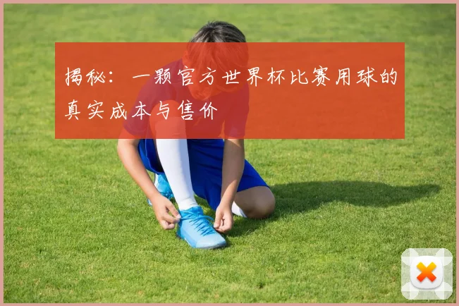 揭秘：一颗官方世界杯比赛用球的真实成本与售价