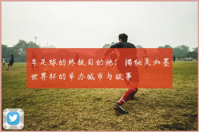 年足球的终极目的地：揭秘美加墨世界杯的举办城市与故事