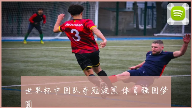 世界杯中国队夺冠波黑 体育强国梦圆