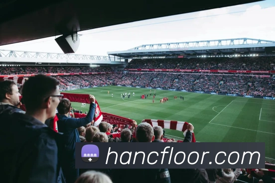 多媒体互动体验