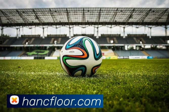 爱游戏app体育官方网站APP 高清赛事图